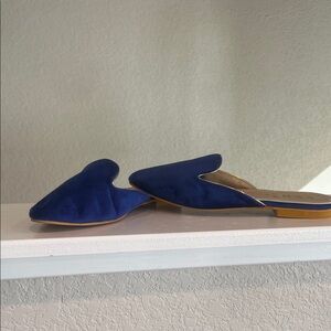 Elegant Blue Women's Mules